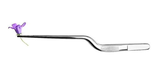 Pinza Precisión Curva Para Chef O Para Emplatar Marca Ibili 2 Pinza Precisión Curva Para Chef O Para Emplatar Marca Ibili – Image 2