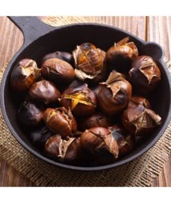 MARCADOR DE CASTAÑAS CLASS IBILI 759510 -Default Template 4 marcador de castanas class ibili 759510 2